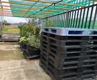 Plant Storage Services by Minters Of Deal